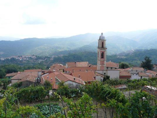 Carro Locanda Agrogallo المظهر الخارجي الصورة
