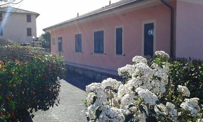 Carro Locanda Agrogallo المظهر الخارجي الصورة